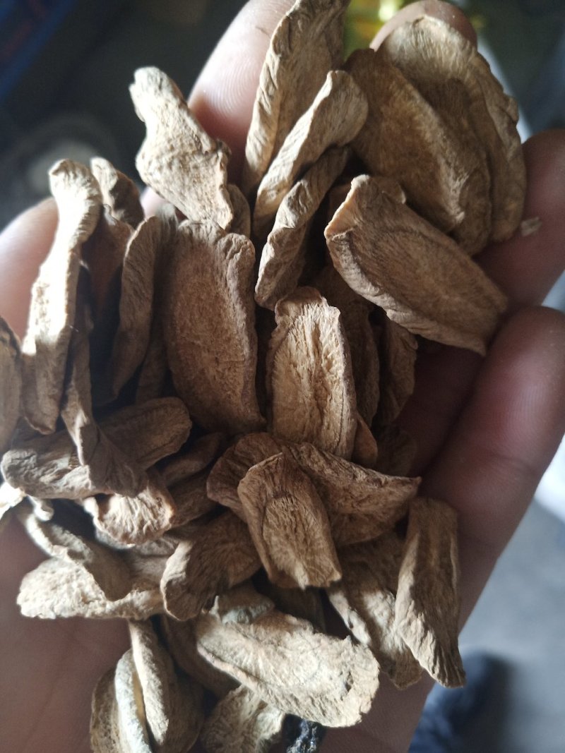 牛蒡茶