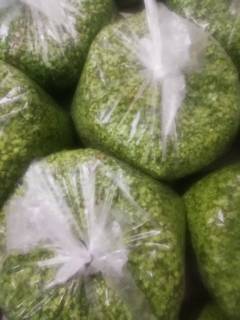 榆钱，大叶片加冰，承接电商批发商，新鲜当天采摘