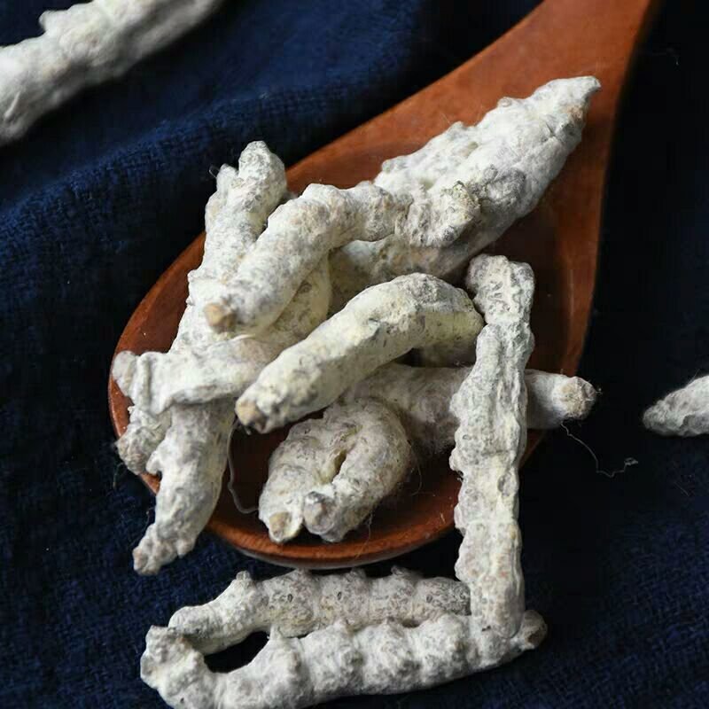 僵蚕，白僵蚕，制僵蚕，产地直供，道地药材，药典标准，