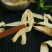 玉竹，常年批发供应药食同源中药材，量大从优