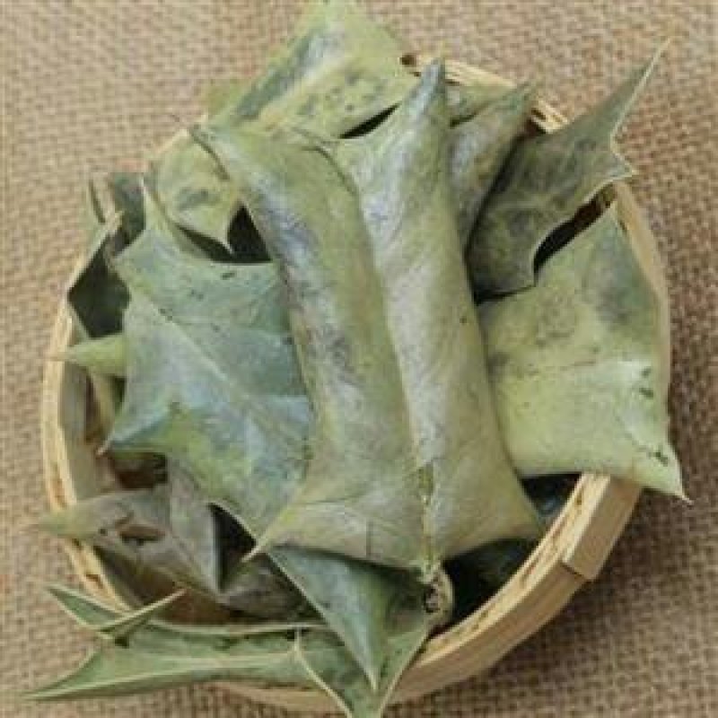 枸骨叶，常年批发供应冷背中草药，功劳叶