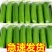 【寿光水果黄瓜】小黄瓜产地直发，大量供应新鲜价低