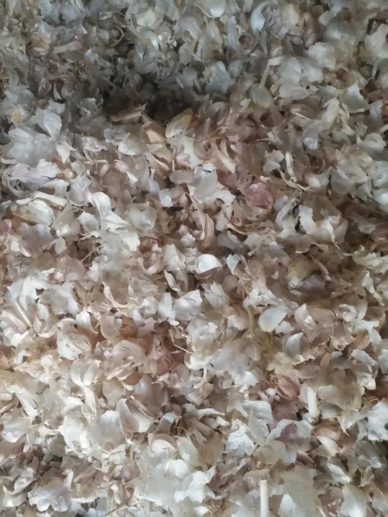 牛羊饲料大蒜皮。提高动物食欲杀菌消炎。