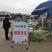 新村芦蒿