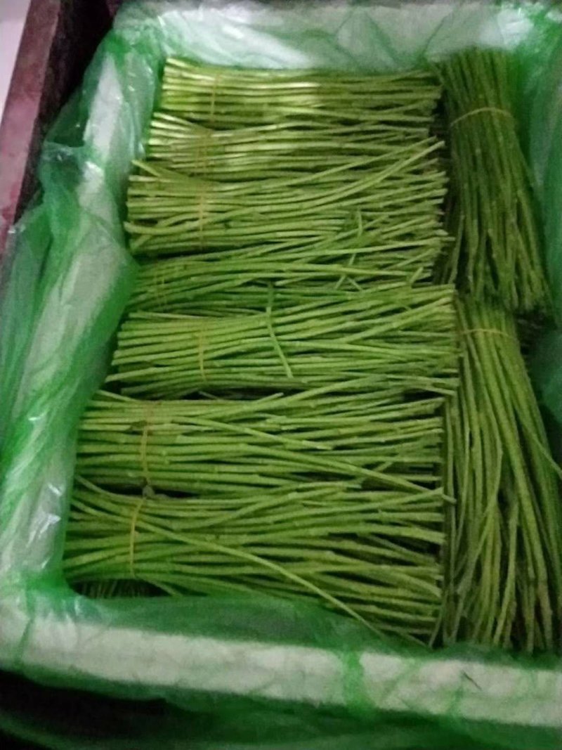 新村芦蒿