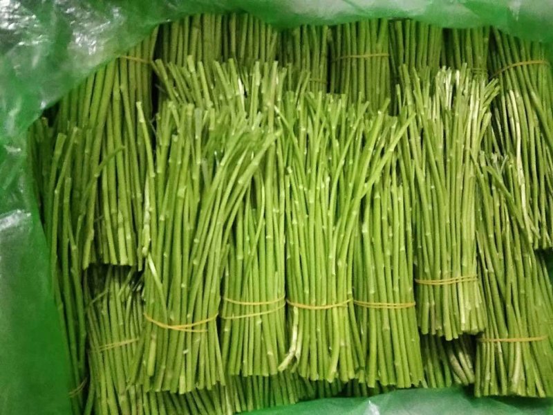 新村芦蒿