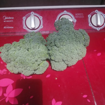 包菜白菜花菜西蓝花