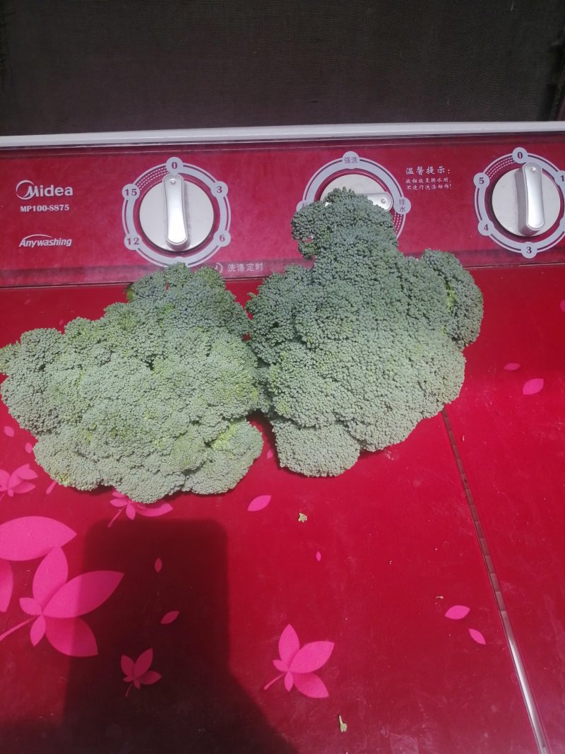 包菜白菜花菜西蓝花