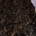 龙虾苗