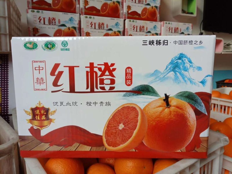 热卖中华红血橙伦晚纽荷尔伦晚电商社团商超市场