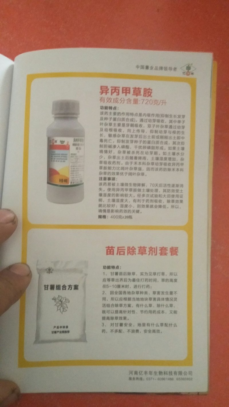 陕西省、西安市、鄠邑区、我们有自己的育苗基地，