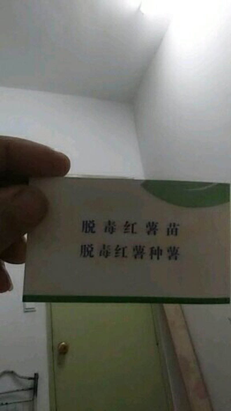 陕西省、西安市、鄠邑区、我们有自己的育苗基地，
