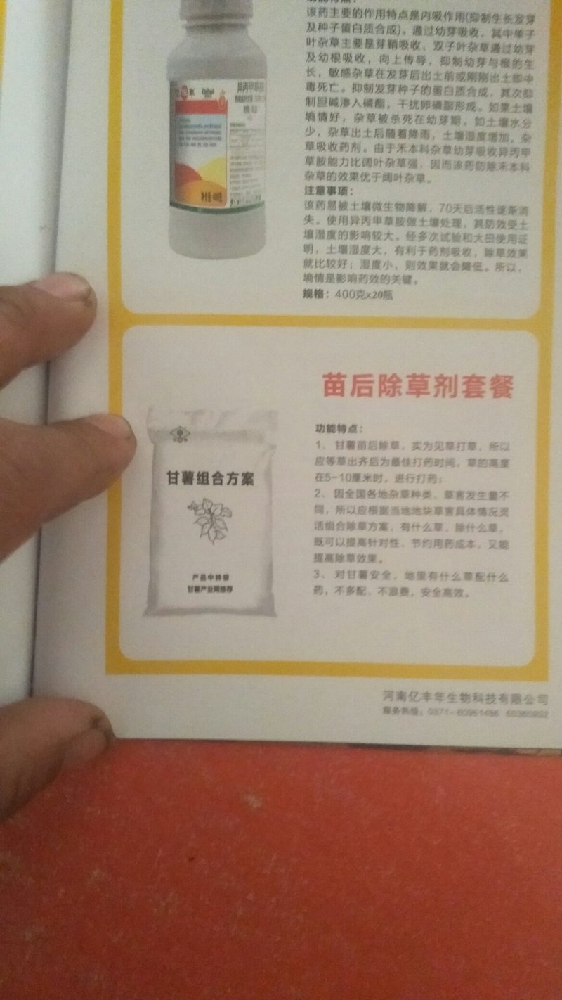 陕西省、西安市、鄠邑区、我们有自己的育苗基地，