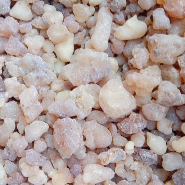 乳香，常年批发乳香中药材量大从优