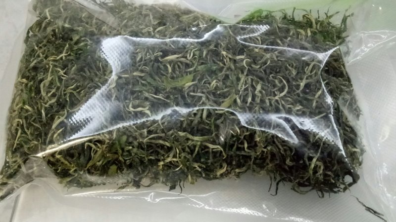 原产地白茶新茶待上茶青丶茶针代加工。价优茶好没有中间商。