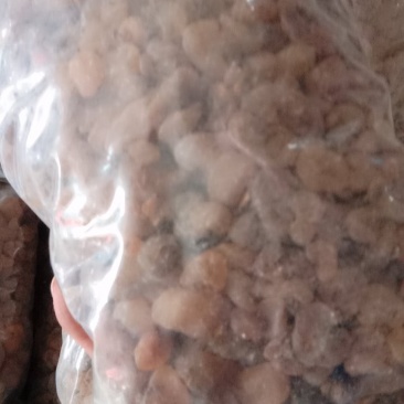 土贝母，常年批发供应土贝母，冷背中药材中药材，量大从优