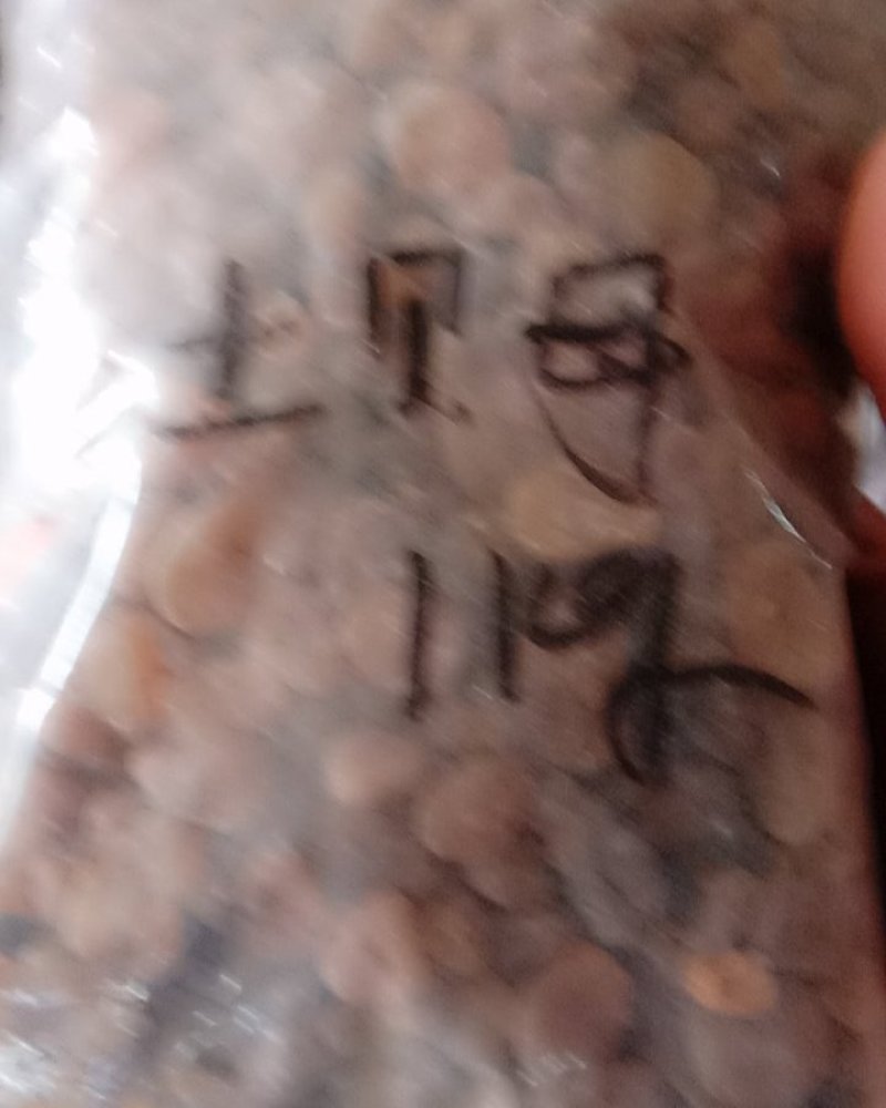 土贝母，常年批发供应土贝母，冷背中药材中药材，量大从优