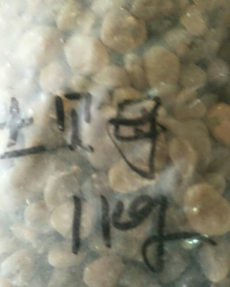 土贝母，常年批发供应土贝母，中药材量大从优