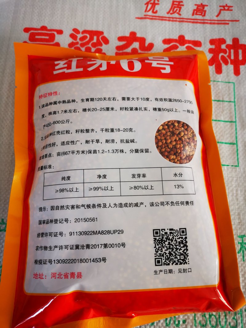 红茅六号高粱种子（纯度高）