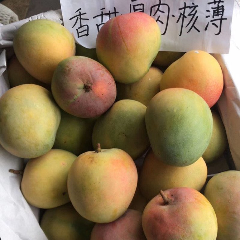 【支持无痕代发】澳芒，芒果中的爱马仕，水果店热卖款