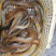 大量直供批发塘鲺塘角鱼胡子鲶成品鱼，鱼苗，