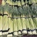杞县红帽蒜苔大量出库中市场电商商超有需要的联系