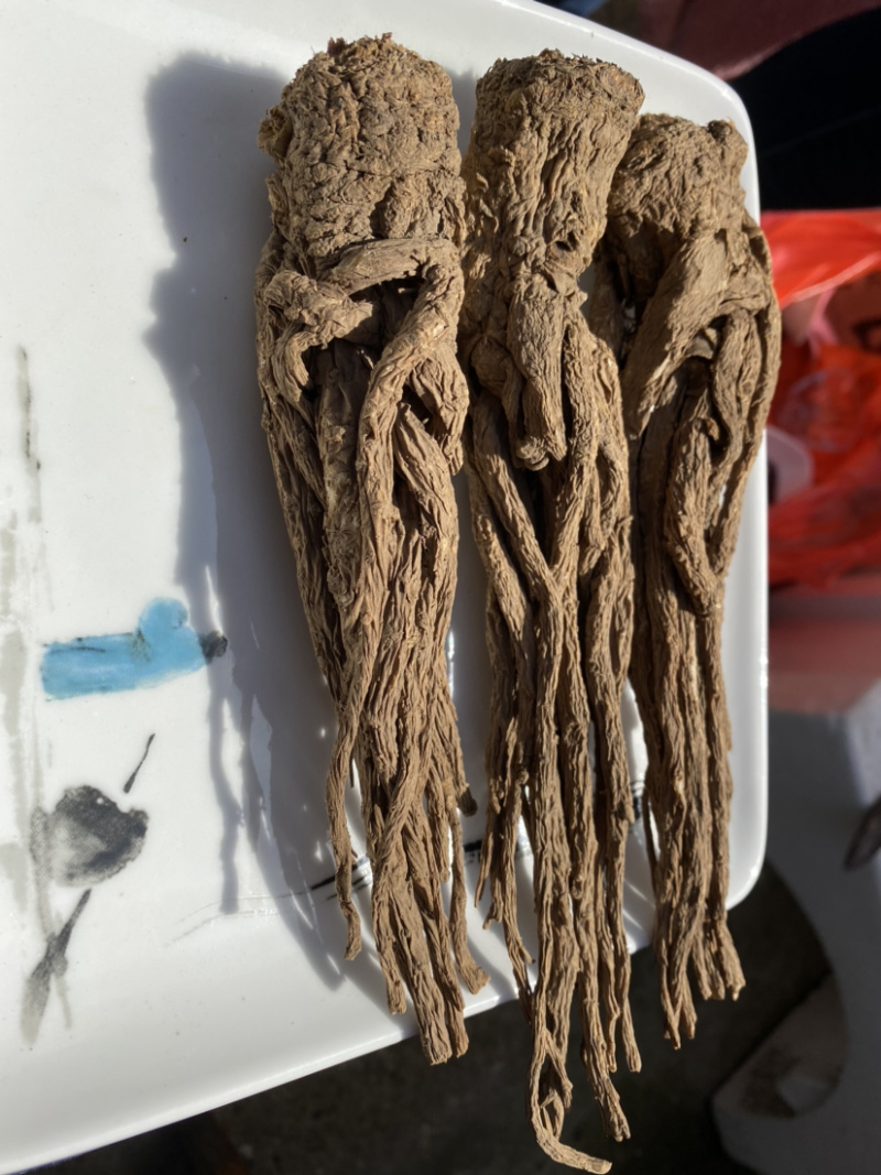 当归**24小时在线服务全国供应无添加健康放心购