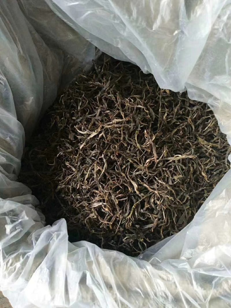 岛里古茶