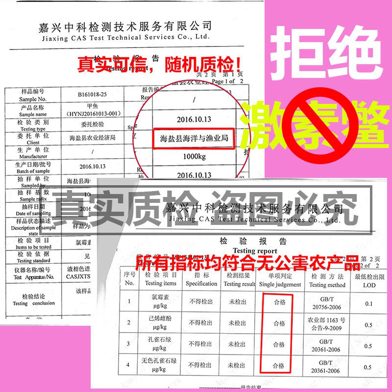 甲鱼活体生鲜活甲鱼老海鲜滋补品生态团水鱼水产品王八批发
