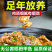 甲鱼活体生鲜活甲鱼老海鲜滋补品生态团水鱼水产品王八批发