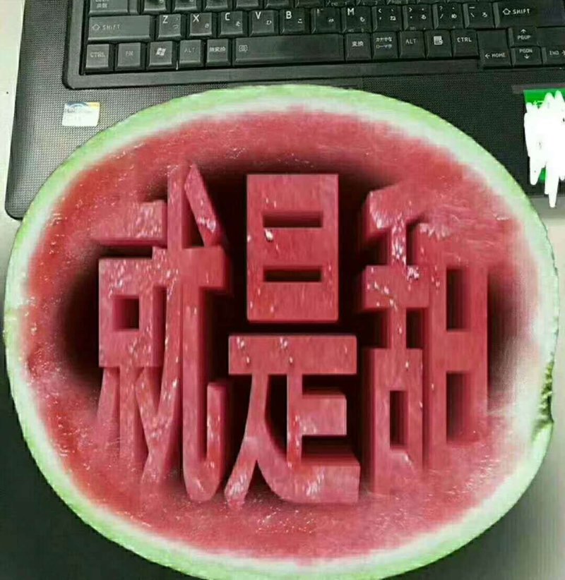 正宗8424麒麟西瓜新鲜采摘万亩基地一茬实力代收甜甜甜
