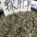新货广西软肝草条子切片都有