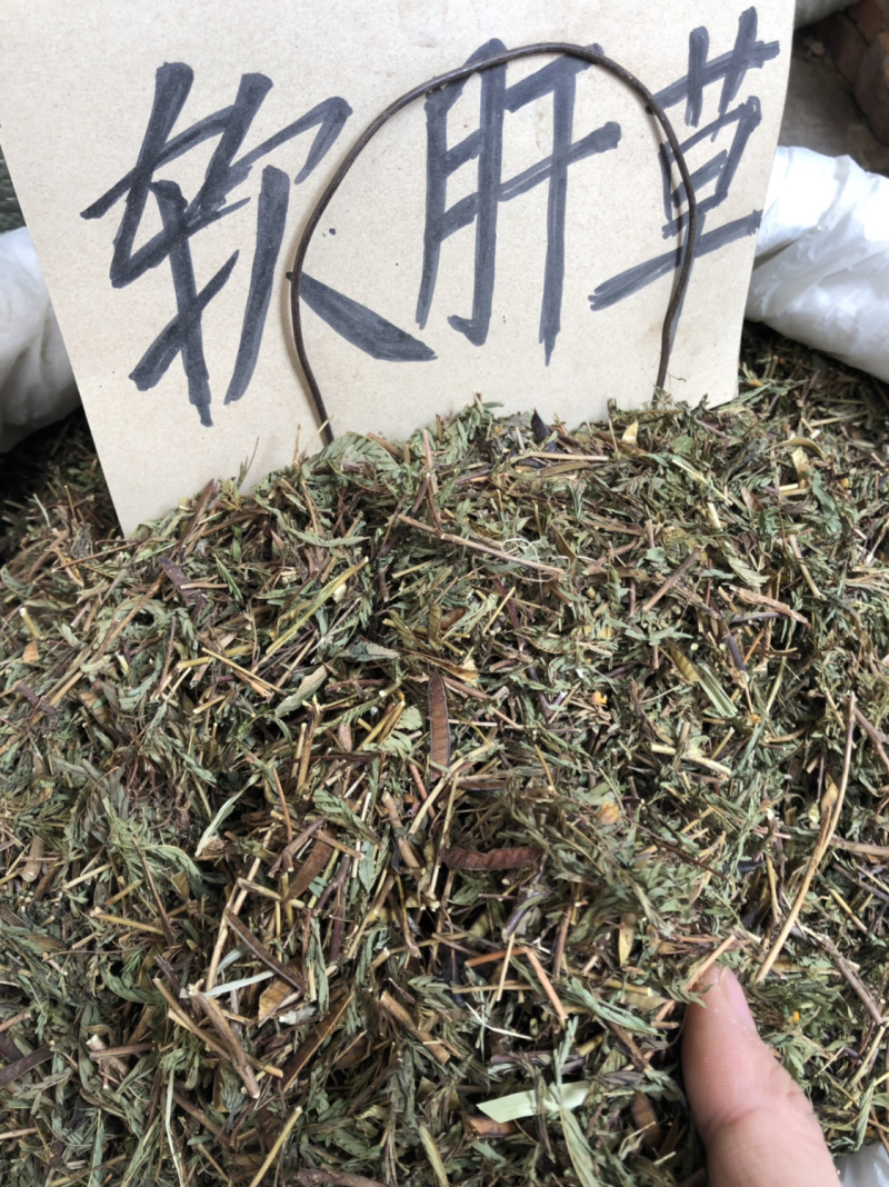 新货广西软肝草条子切片都有