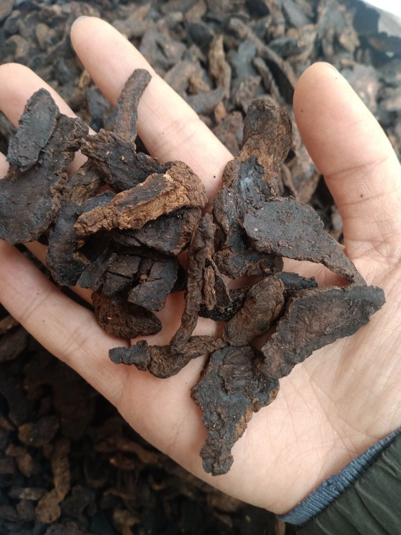 生地无硫磺熏蒸另有熟地各种规格