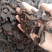 生地无硫磺熏蒸另有熟地各种规格
