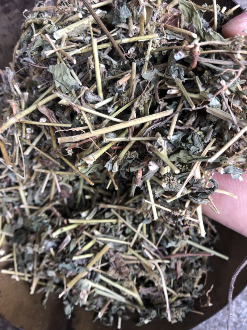 中药材广西大飞扬草新货