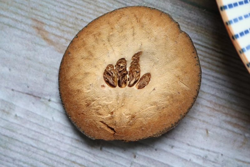 特级橘红切片足干香味浓郁橘味芳香四溢