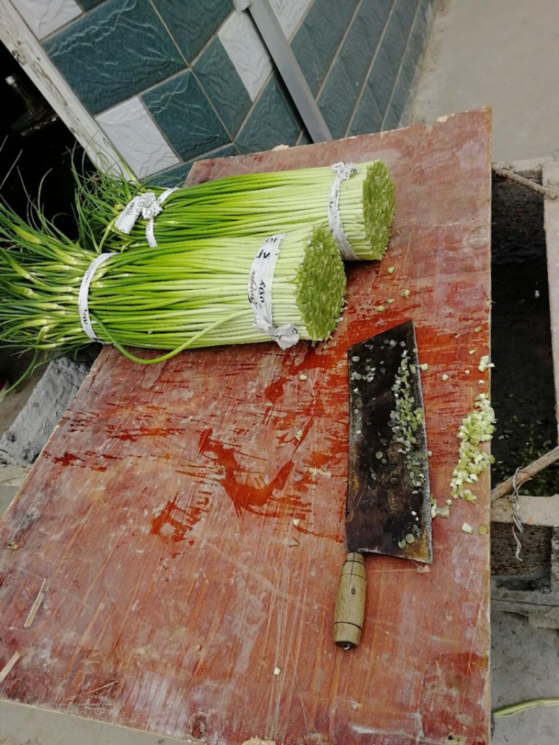 蒜苔白帽蒜苔供货量大诚信代办质量上乘