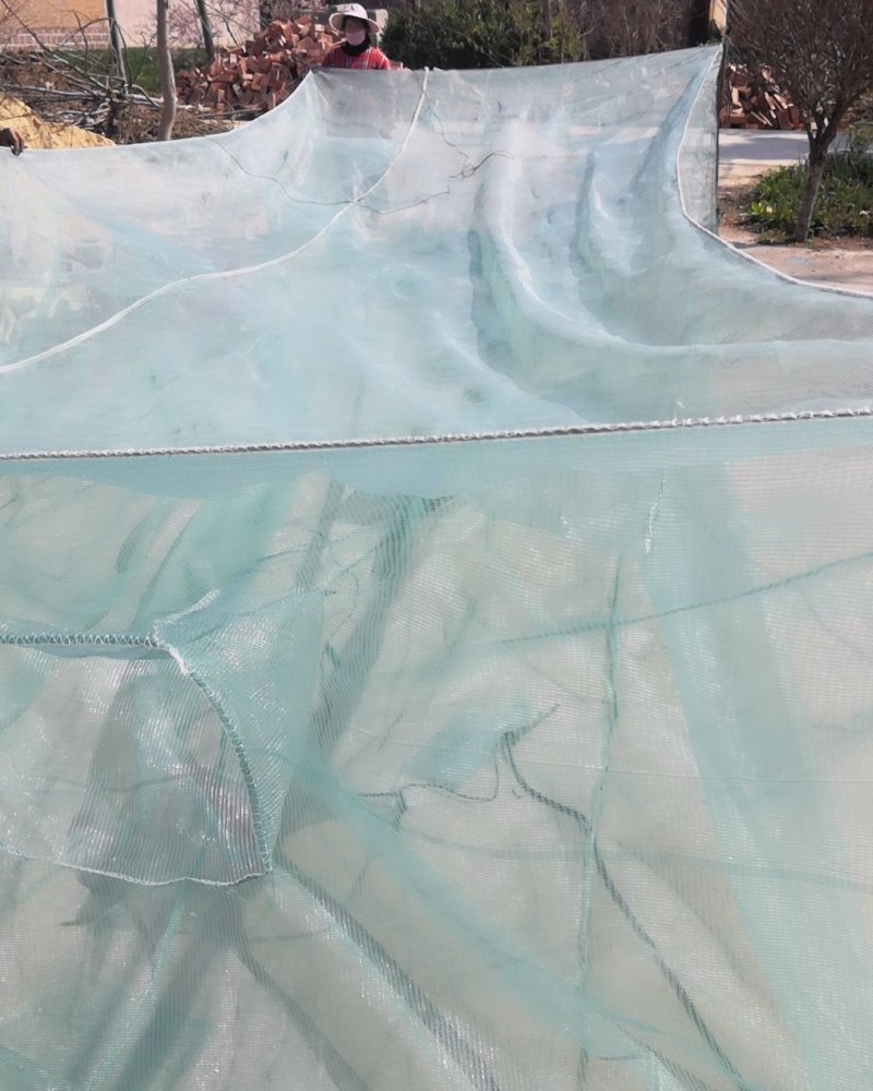 网箱养殖设备泥鳅黄鳝各种鱼苗网箱质量好