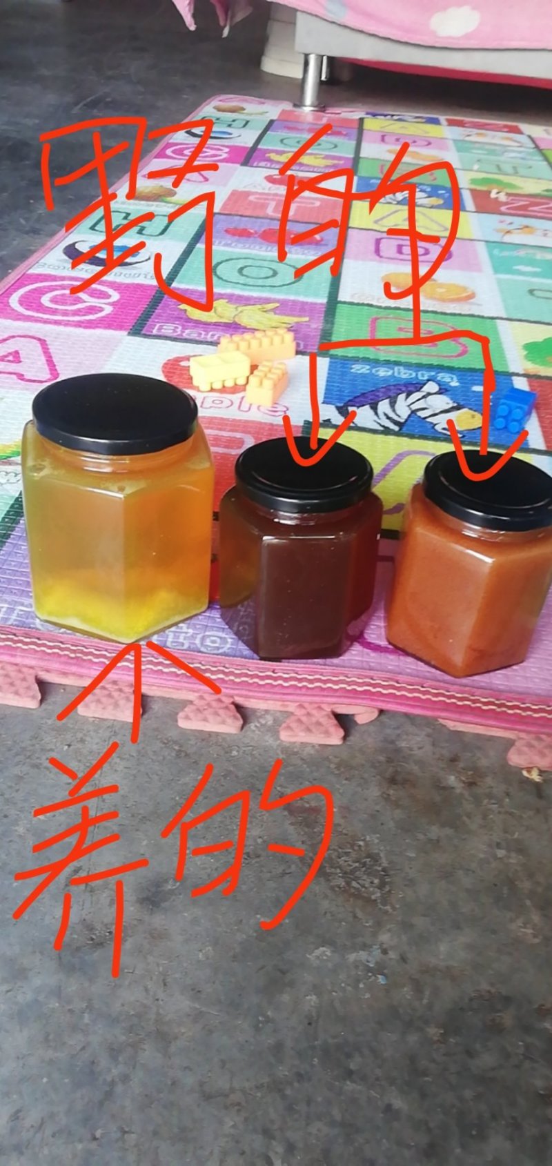 野生蜂蜜