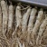 精选35-40支长白山人参6年参特级品质