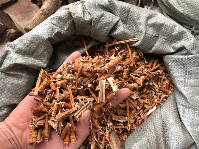 广西新货桑白皮过筛的好货