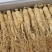 精选25支长白山6年精品人参个头大粗壮饱满参味浓郁
