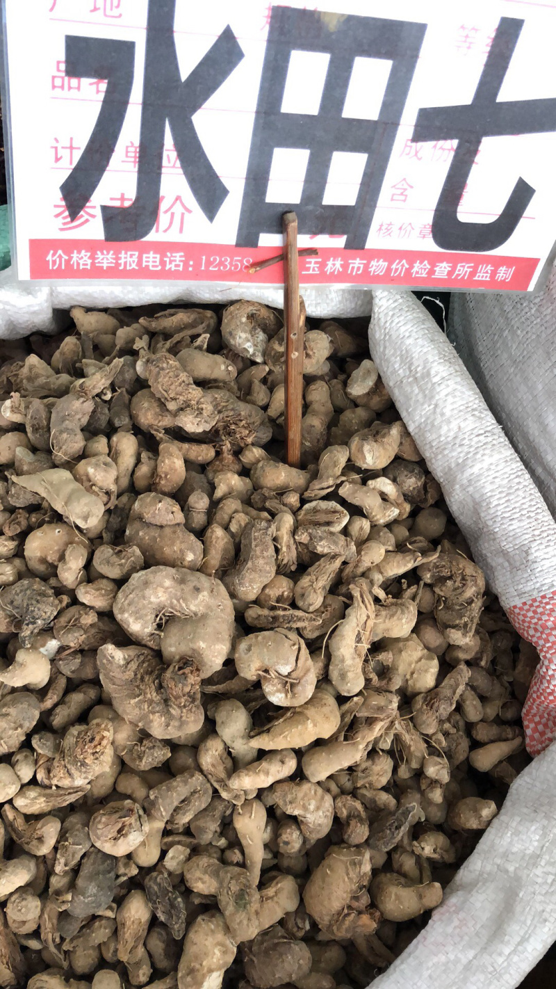 中药材正宗野生新货水田七统货大小不一