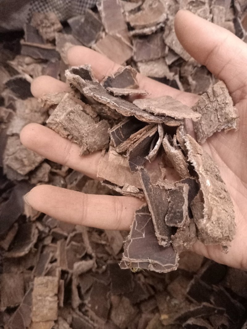 杜仲磨皮统货选装各种规格杜仲皮