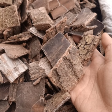 杜仲磨皮统货选装各种规格杜仲皮