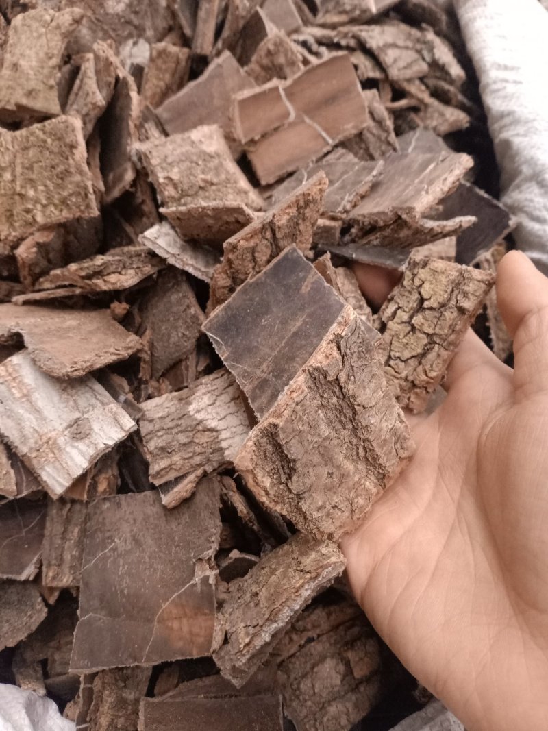 杜仲磨皮统货选装各种规格杜仲皮