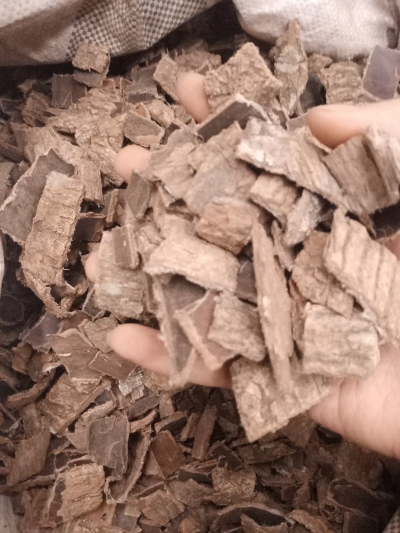 杜仲磨皮统货选装各种规格杜仲皮