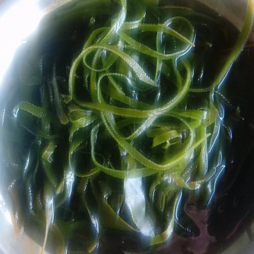 海带丝亏本清仓