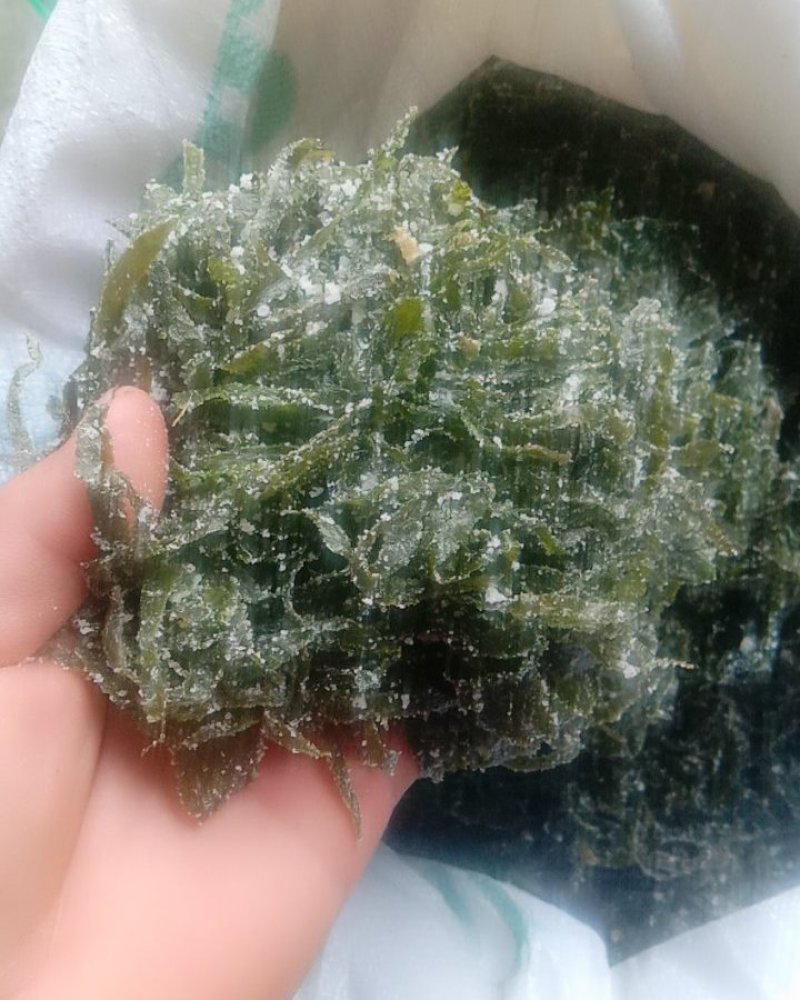 精品海带丝
